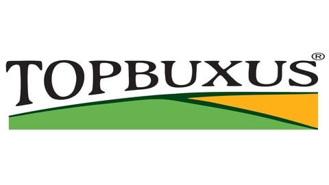 TOPBUXUS