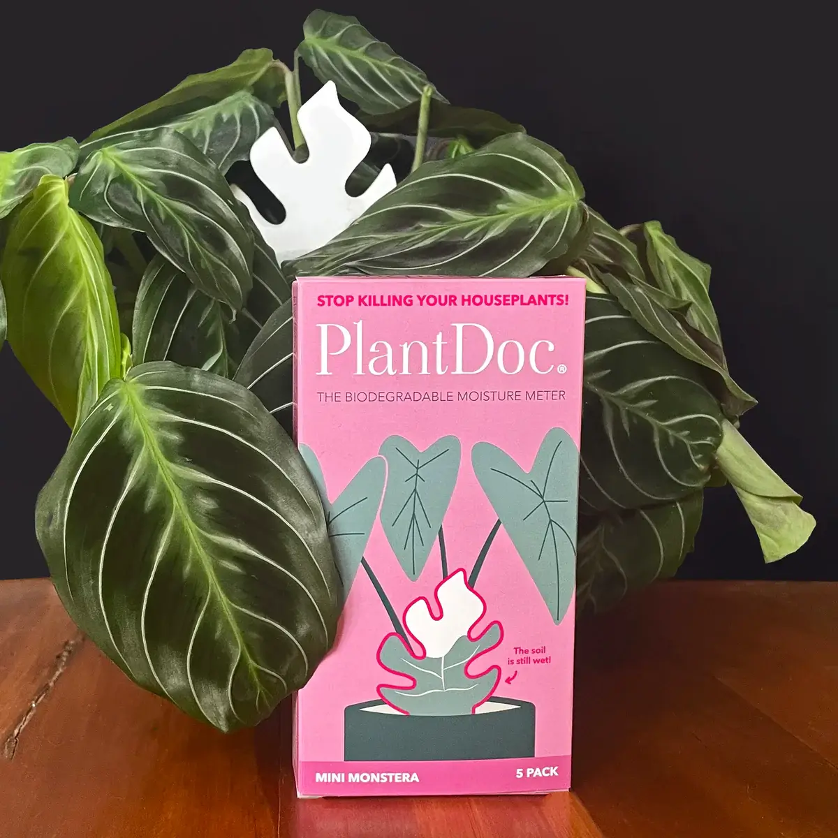 Plant Doc: Simple Solutions for Healthier Houseplants