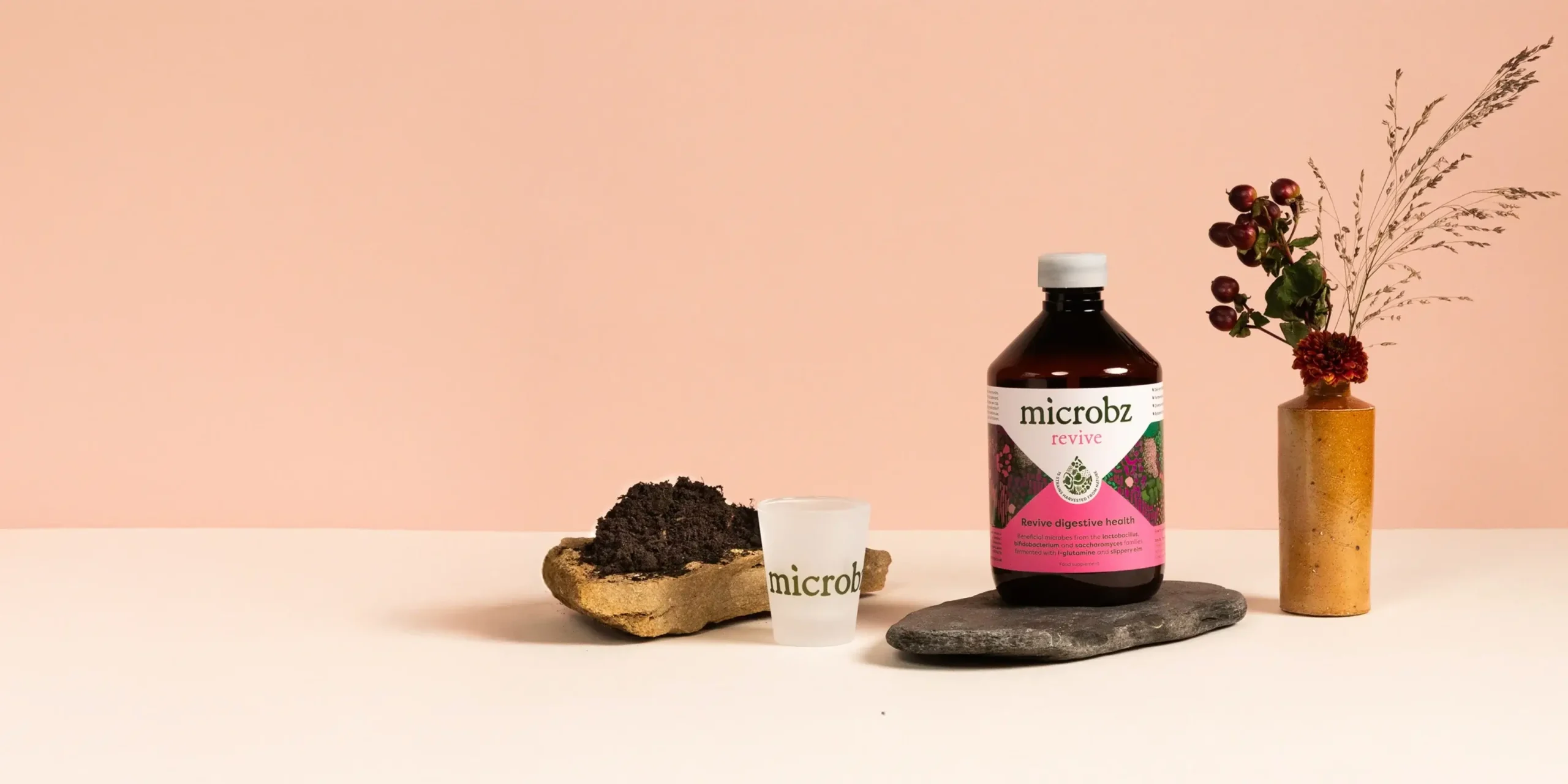 Microbz: Microbiome Support for Everyday Gut Health